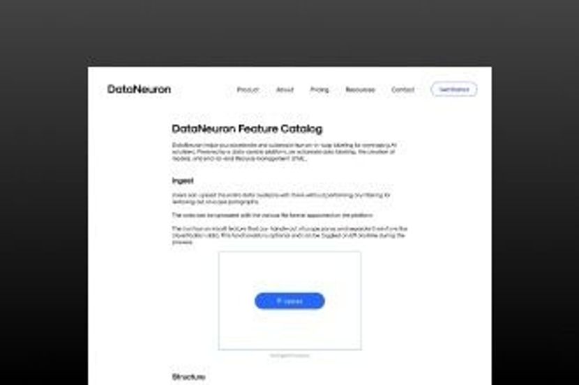DataNeuron Feature Catalogue